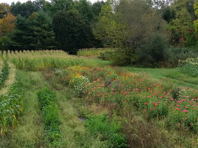 Staron's Farm Stand