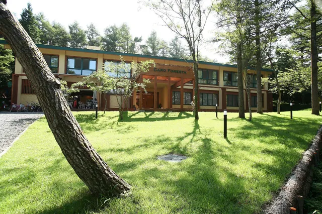 Pets can stay Caro Foresta