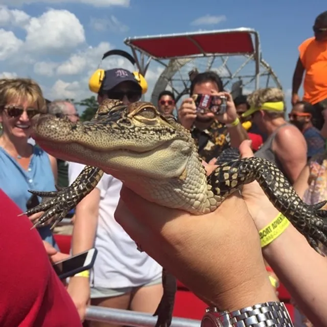 Gators and Ghosts: New Orleans Tours