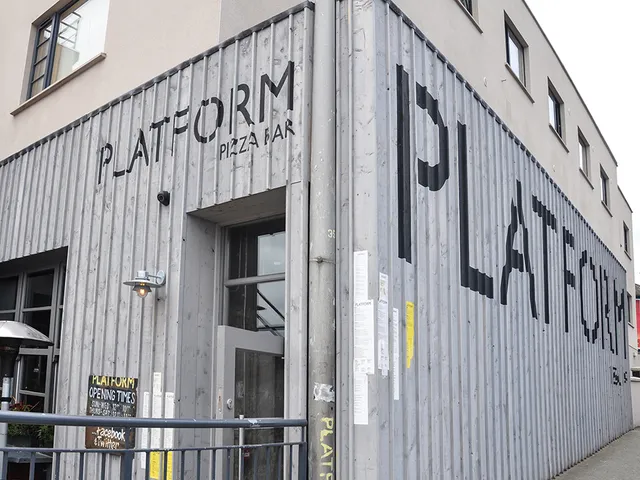 Platform Pizza Bar Bray