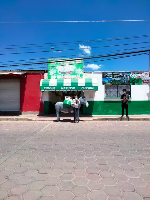 Pulqueria "Grupo pulmex"