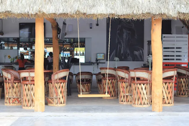 Palapa San Carlos
