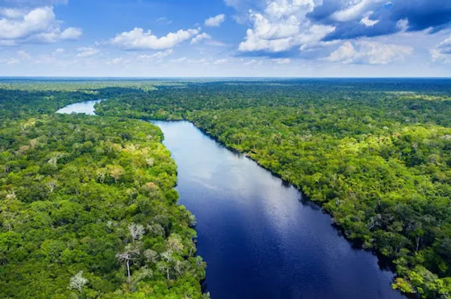 Amazon Rainforest