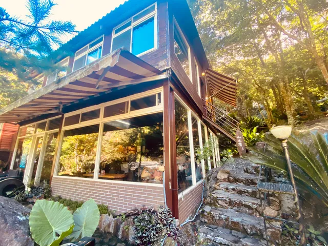 山蘇的故鄉森林溪秘境