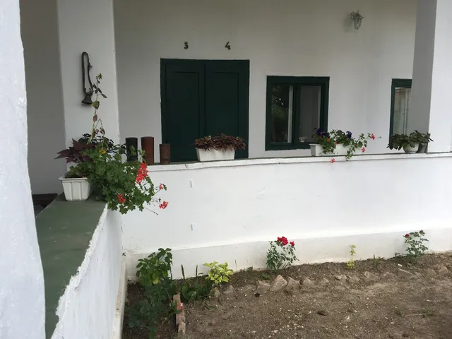 Vadrózsa Vendégház