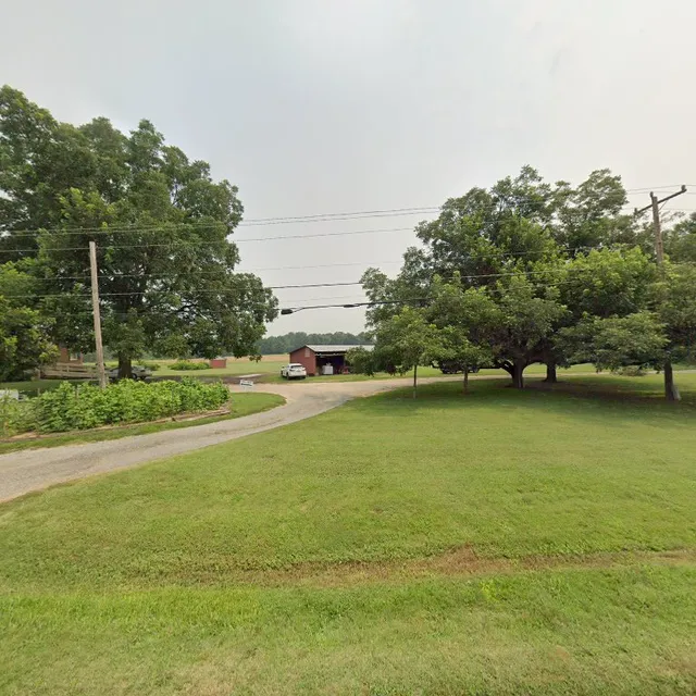 Sunflower Field at Carrigan Farms