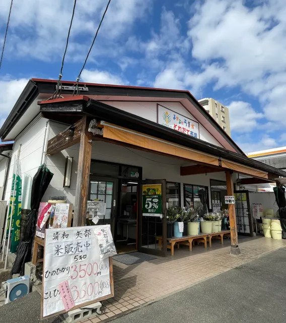 Yokayoka Umaka Toretate Market