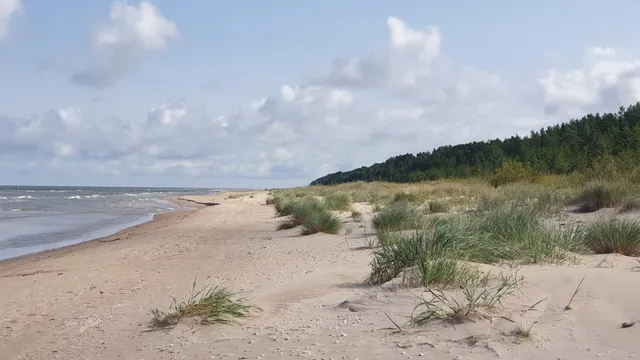 Nitaiga Holiday Homes