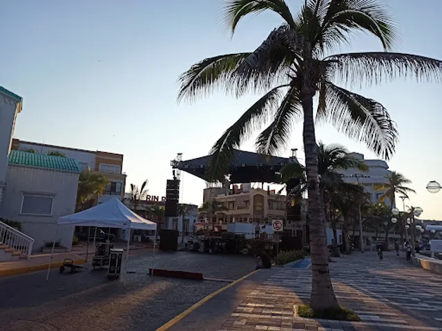 Barrio Olas Altas (Shrimp Bucket)