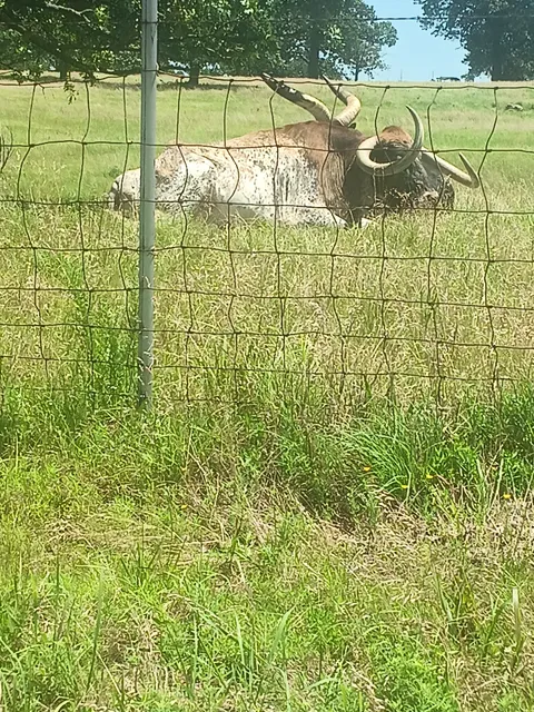 The Woolaroc Western Art & History Museum