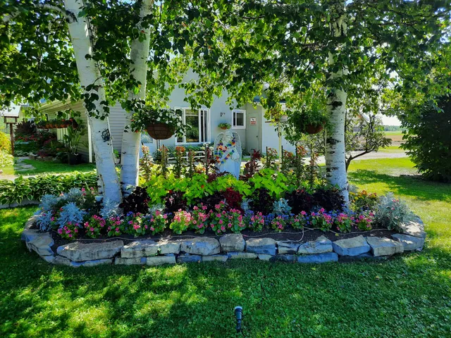 Appartement de l'Ange