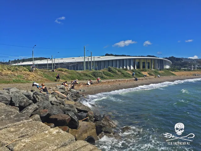 Evans Bay Beach, Wellington