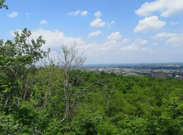 Vue Panoramique Nord-Ouest Montreal