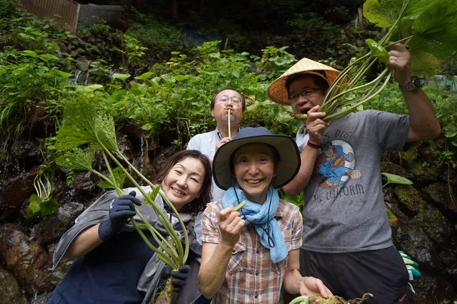 WASABI EXPERIENCE (わさび体験)