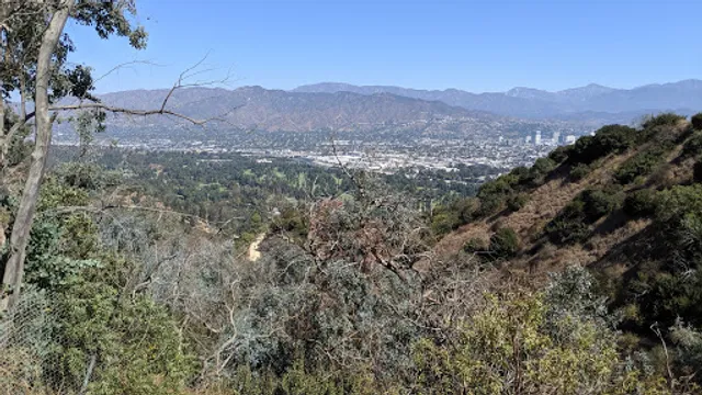 Glendale Peak Trail Head