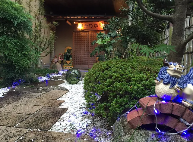 OKINAWA MINSYUKU KARIYUSHI