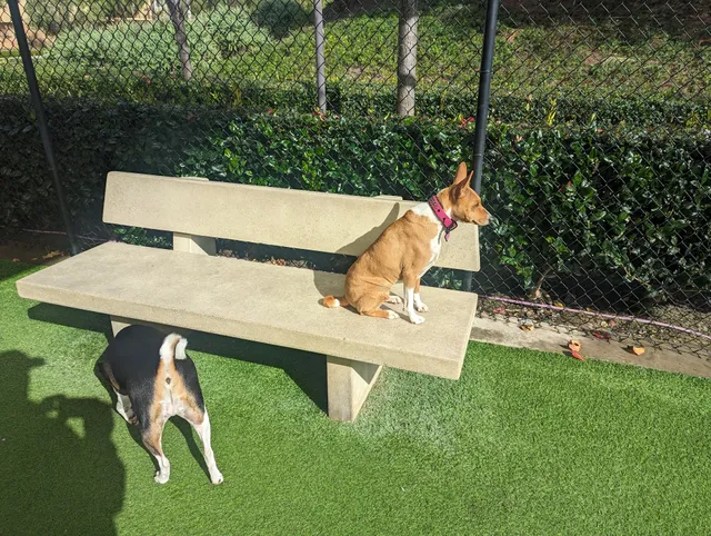 Barker Ranch Dog Park