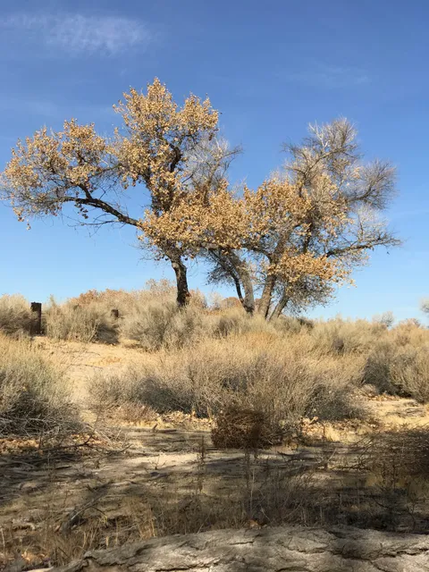 Silver Lakes Community Church