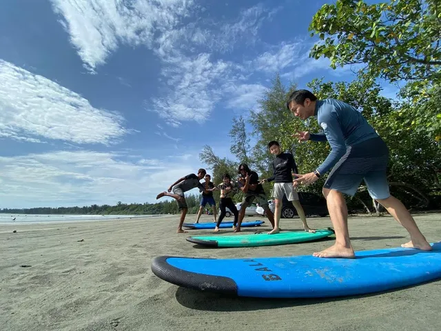 Anchoviz industries surf site