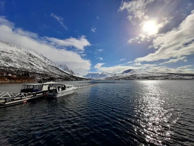 Lyngen Experience Apartments