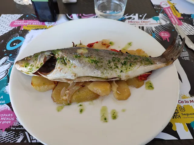 Local Social de Cabanes