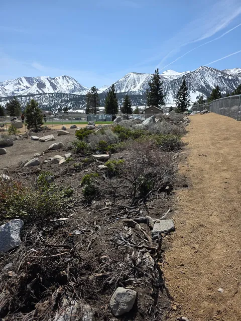 Mammoth Lakes Community Dog Park