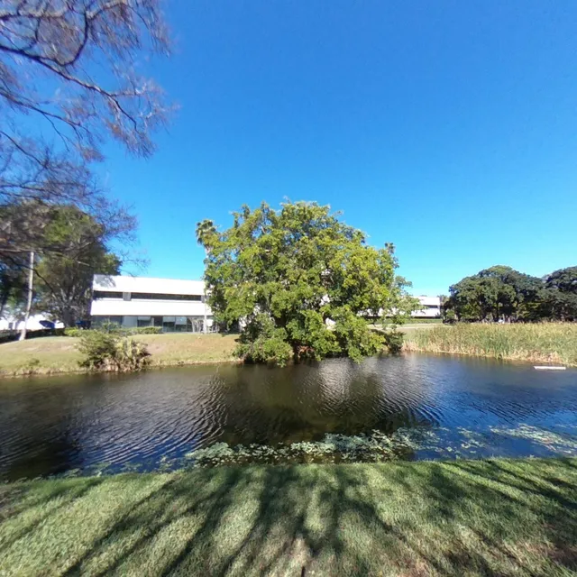 The Nature's Bounty Co