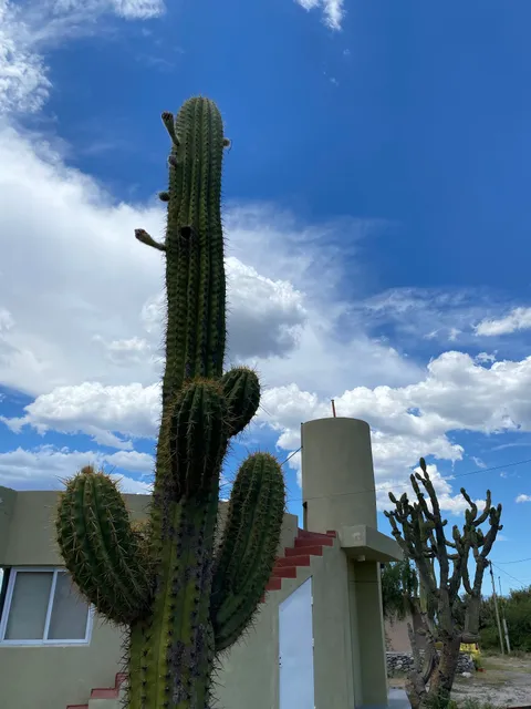 MONTE ZION Apart de Montaña