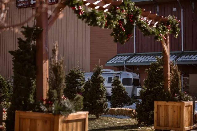 Neighborhood Christmas Tree Co.