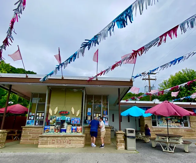 The Cow Soft Ice Cream