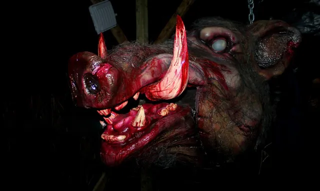 Marr Branch Haunted House