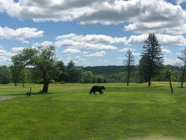 Cricket Hill Golf Club