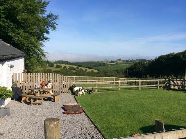 Brechfa Forest Barns - totally dog friendly holidays