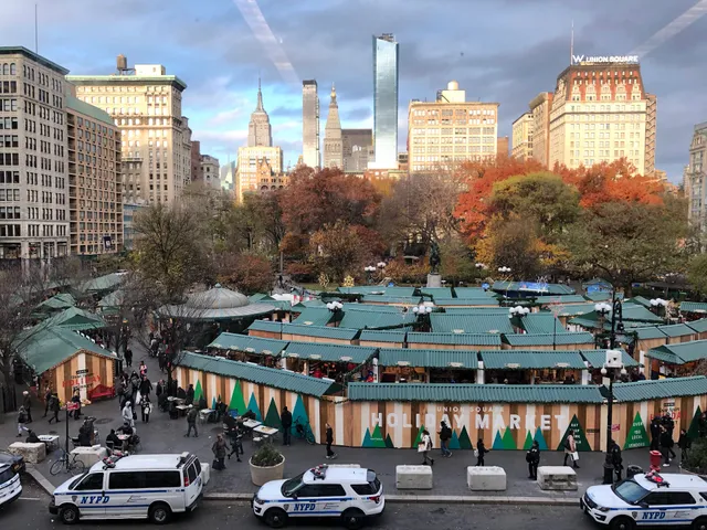 DSW Designer Shoe Warehouse - Newly Remodeled