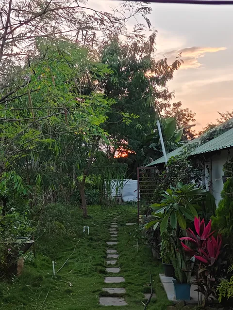 Osaree Agro and Art Hub