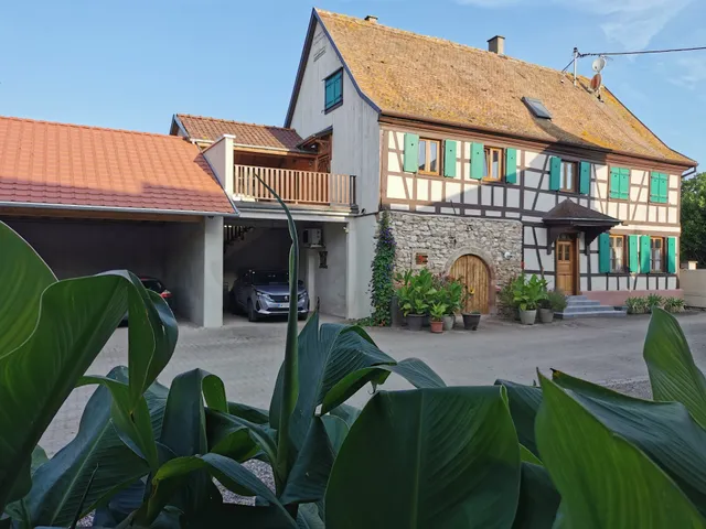 Gite Le Nid des Hirondelles en Alsace (à 67230 KOGENHEIM)