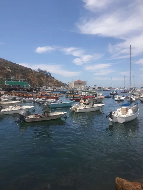 Catalina Yamaha Golf Cars