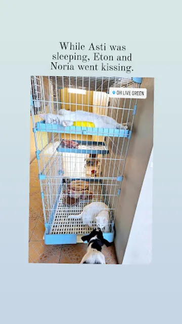 Oh! Live Green Restaurant