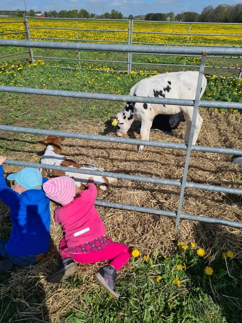 Yndesäte Gårdsmjölk