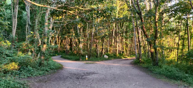 Bluff Point State Park