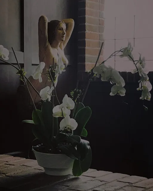 The Schvitz Health Club