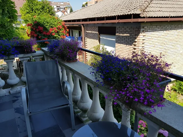 Sunflower Accommodation