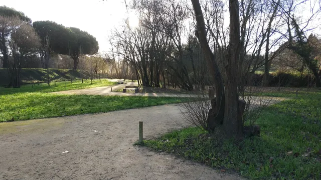 Parque Ponte de Moreira