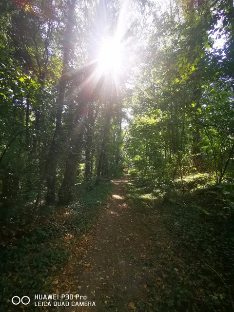 Château des Charmilles