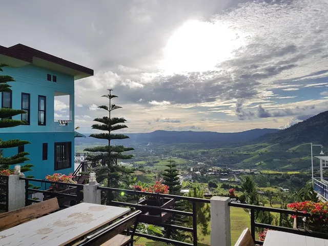 ต้นค้อแอทโฮม