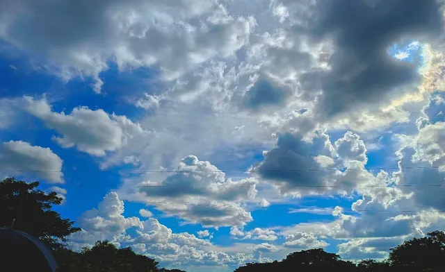 Discovery Garden Street 5