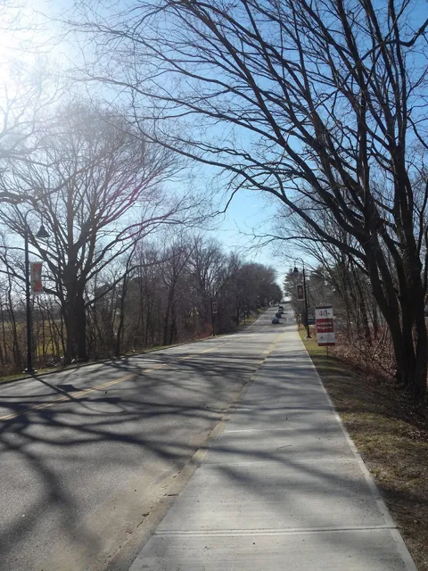 Rhode Island College