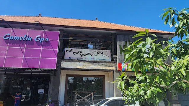 Cat Cafe & Cat Boarding Sanur