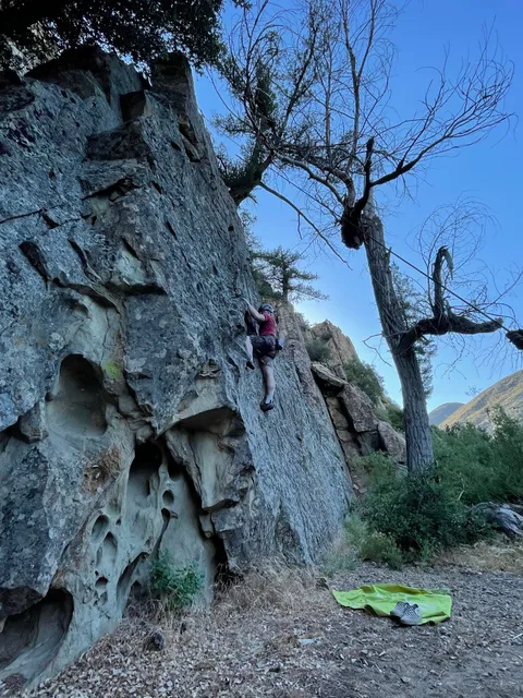 Summit Climbing Guides