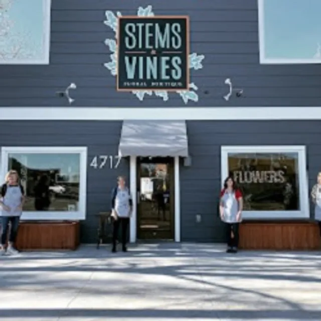 Stems & Vines - Florist & Flower Delivery